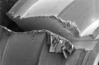 slotburrs6.jpg - 10101 Bytes